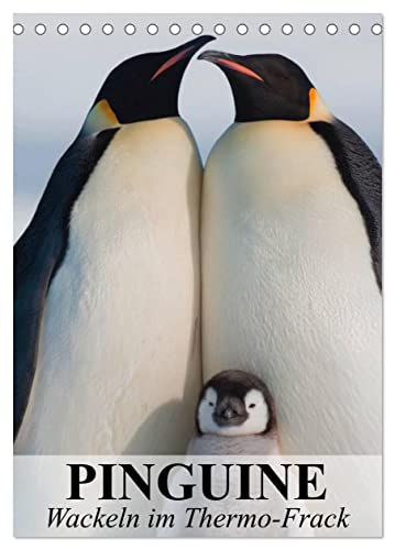 Pinguine - Wackeln im Thermo-Frack (Tischkalender 2024 DIN A5 hoch), CALVENDO Monatskalender von CALVENDO