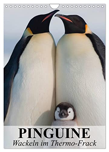 Pinguine - Wackeln im Thermo-Frack (Wandkalender 2024 DIN A4 hoch), CALVENDO Monatskalender