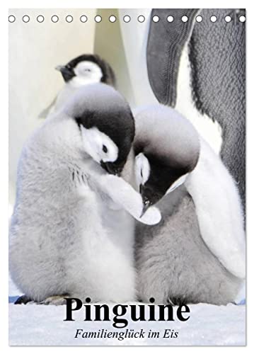 Pinguine. Familienglück im Eis (Tischkalender 2024 DIN A5 hoch), CALVENDO Monatskalender