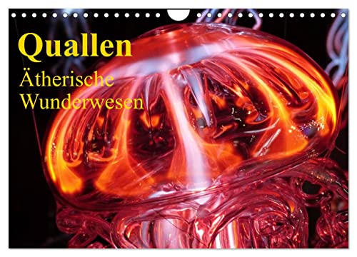 Quallen • Ätherische Wunderwesen (Wandkalender 2024 DIN A4 quer), CALVENDO Monatskalender