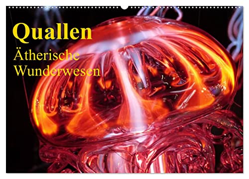Quallen • Ätherische Wunderwesen (Wandkalender 2025 DIN A2 quer), CALVENDO Monatskalender von CALVENDO