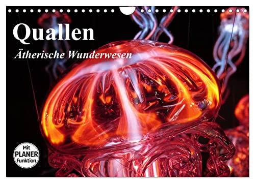 Quallen. Ätherische Wunderwesen (Wandkalender 2024 DIN A4 quer), CALVENDO Monatskalender von CALVENDO