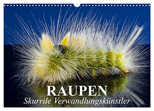 Raupen - Skurrile Verwandlungskünstler (Wandkalender 2025 DIN A3 quer), CALVENDO Monatskalender von CALVENDO