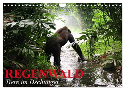 Regenwald • Tiere im Dschungel (Wandkalender 2024 DIN A4 quer), CALVENDO Monatskalender