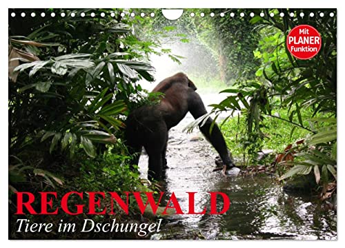 Regenwald. Tiere im Dschungel (Wandkalender 2024 DIN A4 quer), CALVENDO Monatskalender