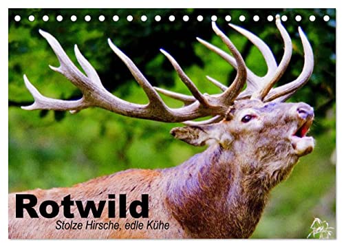 Rotwild. Edle Hirsche, stolze Kühe (Tischkalender 2024 DIN A5 quer), CALVENDO Monatskalender von CALVENDO