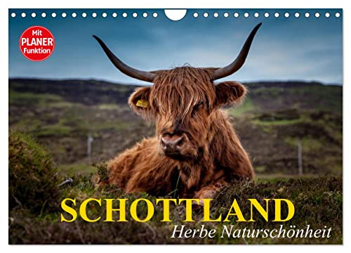Schottland. Herbe Naturschönheit (Wandkalender 2024 DIN A4 quer), CALVENDO Monatskalender