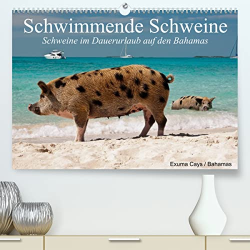 Schwimmende Schweine (hochwertiger Premium Wandkalender 2024 DIN A2 quer), Kunstdruck in Hochglanz