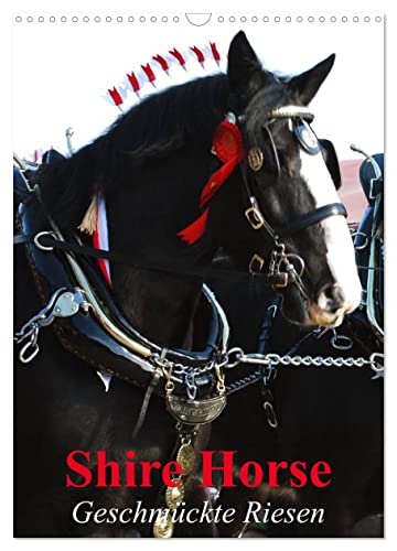 Shire Horse - Geschmückte Riesen (Wandkalender 2024 DIN A3 hoch), CALVENDO Monatskalender