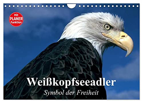 Weißkopfseeadler. Symbol der Freiheit (Wandkalender 2024 DIN A4 quer), CALVENDO Monatskalender von CALVENDO