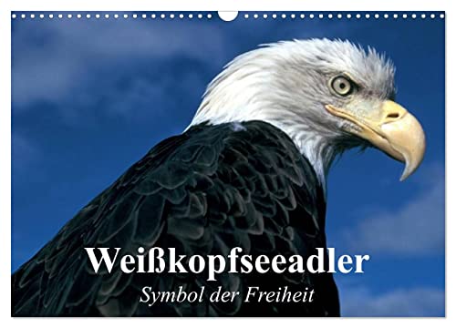 Weißkopfseeadler. Symbol der Freiheit (Wandkalender 2025 DIN A3 quer), CALVENDO Monatskalender von CALVENDO