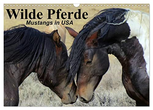 Wilde Pferde • Mustangs in USA (Wandkalender 2024 DIN A3 quer), CALVENDO Monatskalender
