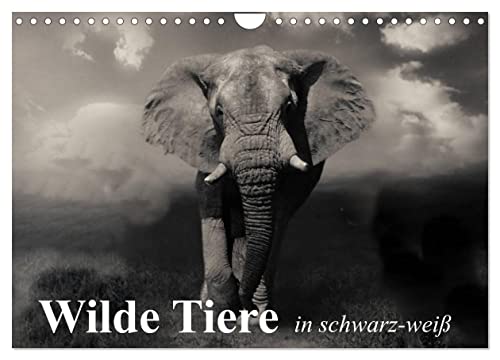 Wilde Tiere in schwarz-weiß (Wandkalender 2025 DIN A4 quer), CALVENDO Monatskalender von CALVENDO