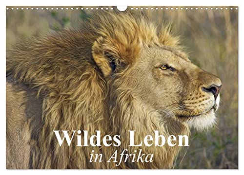 Wildes Leben in Afrika (Wandkalender 2025 DIN A3 quer), CALVENDO Monatskalender von CALVENDO