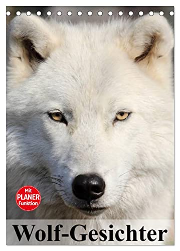 Wolf-Gesichter (Tischkalender 2024 DIN A5 hoch), CALVENDO Monatskalender von CALVENDO