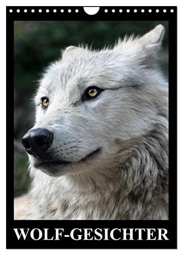 Wolf-Gesichter (Wandkalender 2024 DIN A4 hoch), CALVENDO Monatskalender von CALVENDO