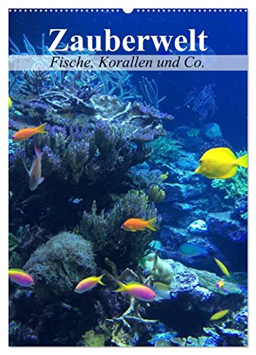 Zauberwelt. Fische, Korallen und Co. (Wandkalender 2024 DIN A2 hoch), CALVENDO Monatskalender