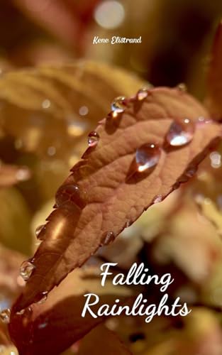 Falling Rainlights von Swan Charm Publishing