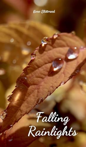 Falling Rainlights von Swan Charm Publishing