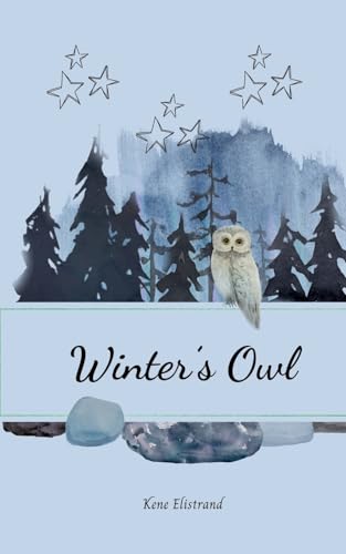 Winter's Owl von Swan Charm Publishing