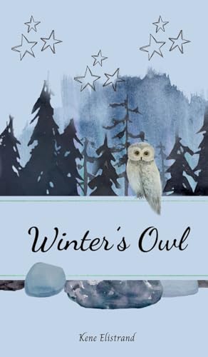 Winter's Owl von Swan Charm Publishing