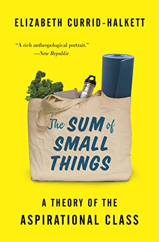 The Sum of Small Things - A Theory of the Aspirational Class von Princeton University Press