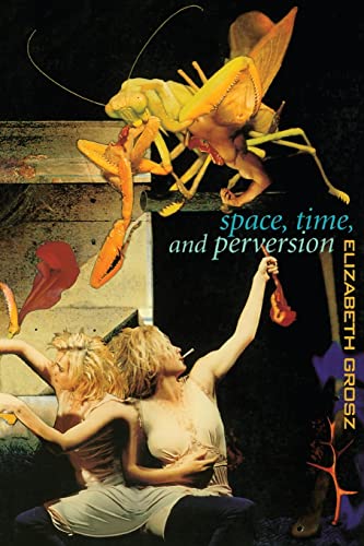 Space, Time and Perversion: Essays on the Politics of Bodies von Routledge