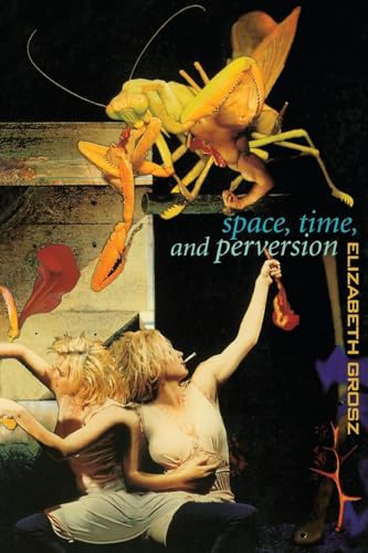 Space, Time and Perversion: Essays on the Politics of Bodies von Routledge