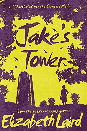 Jake's Tower von Pan MacMillan