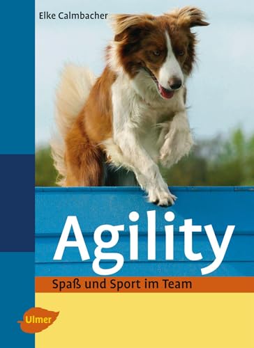 Agility: Spaß und Sport im Team