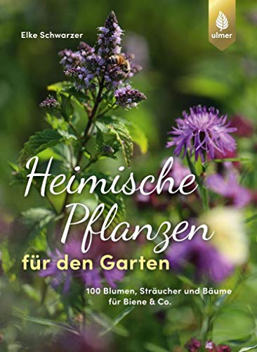 Heimische Pflanzen für den Garten: 100 Blumen, Sträucher und Bäume für Biene & Co.
