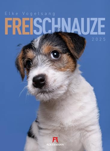 Frei Schnauze - Elke Vogelsang Kalender 2025, Wandkalender im Hochformat (33x45 cm) - Tierkalender / Hundekalender von Ackermann Kunstverlag
