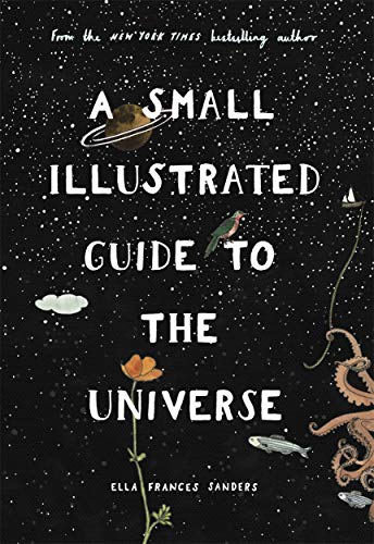 A Small Illustrated Guide to the Universe: From the New York Times bestselling author von Blink Publishing