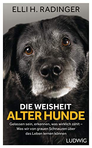 Die Weisheit alter Hunde: Gelassen sein, erkennen, was wirklich zählt – Was wir von grauen Schnauzen über das Leben lernen können von Ludwig Verlag