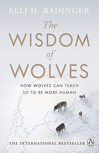 The Wisdom of Wolves: How Wolves Can Teach Us To Be More Human von Penguin Books Ltd (UK)