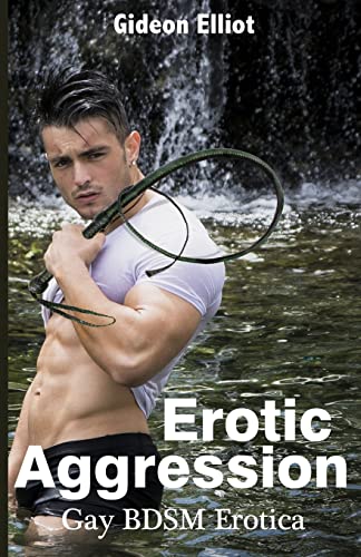 Erotic Aggression: Gay BDSM Erotica von Blvnp Incorporated