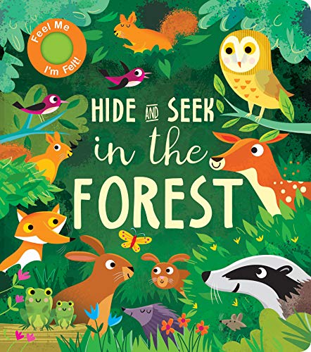 Hide and Seek In the Forest von Little Tiger Press