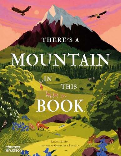 There's a Mountain in This Book (Young Explorers)