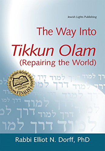 The Way Into Tikkun Olam (Repairing the World) von JEWISH LIGHTS PUB