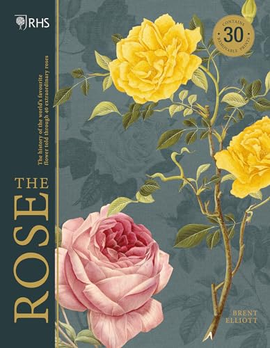 RHS The Rose: The history of the world's favourite flower in 40 roses