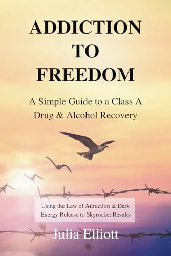Addiction to Freedom: A Simple Guide to a Class A Drug and Alcohol Recovery