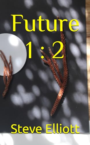 Future ! : 2 (two book / future, Band 1) von Independently published