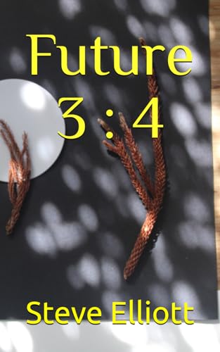Future 3 : 4 (two book / future, Band 2) von Independently published