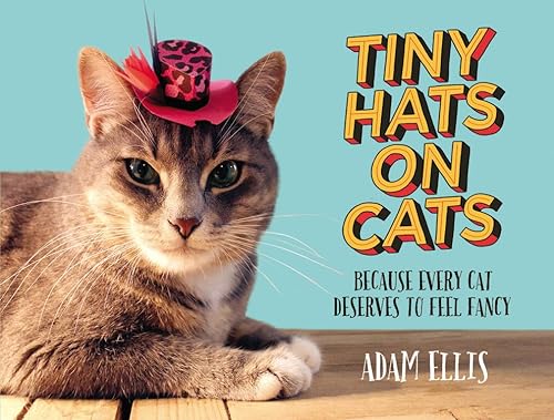 Tiny Hats on Cats: Because Every Cat Deserves to Feel Fancy