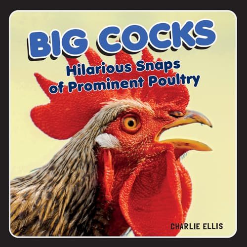 Big Cocks: Hilarious Snaps of Prominent Poultry von Summersdale Publishers Ltd