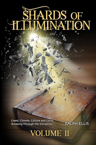 Shards of Illumination II: Breaking Through More Disinformation (The Shards of Illimination Trilogy, Band 2) von Independently published