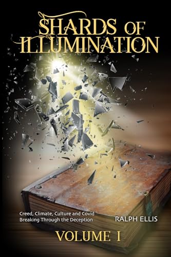 Shards of Illumination: Breaking through the Deception (The Shards of Illimination Trilogy, Band 1) von Independently published