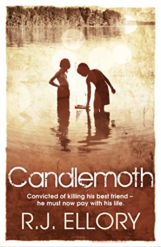 Candlemoth von Orion Publishing Co