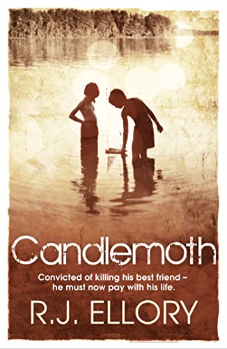 Candlemoth von Orion