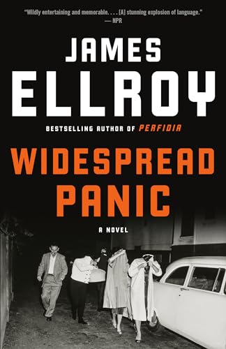 Widespread Panic: A novel